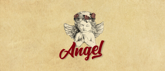 home collection icon Angel